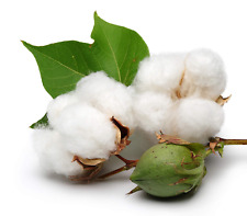 White cotton gossypium for sale  Miami