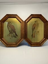 Wildlife hawk art for sale  Mankato