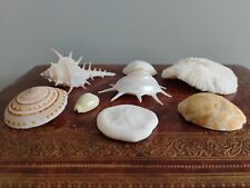 Vintage seashells job for sale  CLEVEDON