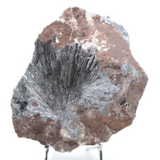 Roche pyrolusite brut d'occasion  France