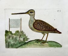 1794 common snipe for sale  Shipping to Ireland