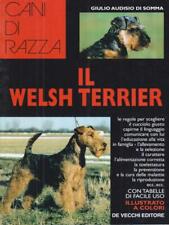 Welsh terrier audisio usato  Italia