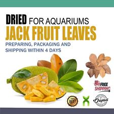 Dried jack fruit for sale  Shipping to Ireland