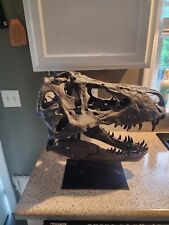 Tyrannosaurus rex head for sale  Stafford
