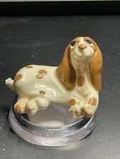 Spotted porcelain pup for sale  Queen Creek