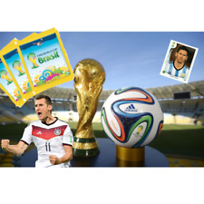 Panini 2014 brasilien gebraucht kaufen  Ebergötzen