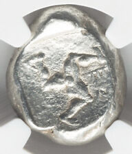 Ngc pamphylia aspendus for sale  Lawton