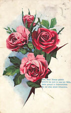 Alte rose rose gebraucht kaufen  Leer (Ostfriesland)