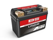 BS BATTERY Bateria de litio BSLI-05, usado comprar usado  Enviando para Brazil