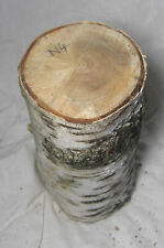 Spalted Silver Birch Wood Log Blank Crafts Woodwork Raw Untreated N4 for sale  Shipping to South Africa