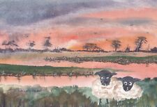 Sheep sundown original for sale  MILTON KEYNES