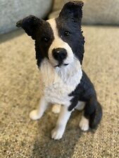 Border collie dog for sale  Sterling