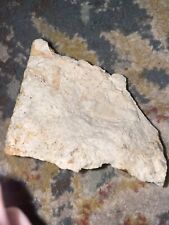 Limestone rock seashell for sale  Hardyville