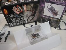 TAKARA - Beetle of the World 4 -  Odontolabis stevensi female Mini Figure L11 for sale  Shipping to South Africa