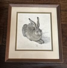 Young hare albrecht for sale  Greensboro