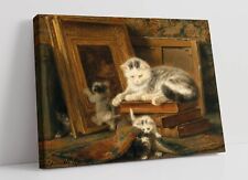 Henriette ronner knip for sale  LONDONDERRY