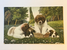 Postcard bernard puppy for sale  Princeton