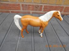 Palamino pony arab for sale  NOTTINGHAM