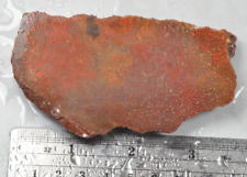 Losa ósea de dinosaurio agatizado, Utah, colección EX Shirley, 110 gramos segunda mano  Embacar hacia Argentina
