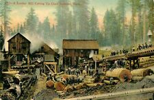 Postcard lumber mill for sale  Saint Joseph