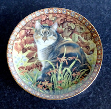 Cat plate cynfascat for sale  GOSPORT