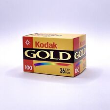 Kodak gold 100 usato  Torino