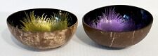 Lined coconut bowls for sale  Kittery