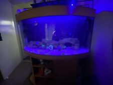4ft glass tank for sale  LIVERPOOL