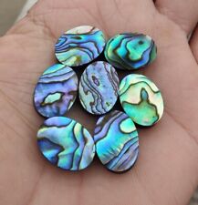 Natural abalone shell for sale  Fairfield