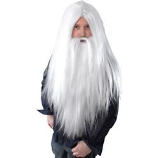 Wizard wig long for sale  BRISTOL