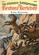 brehms tierleben erstausgabe gebraucht kaufen  Grönenbach