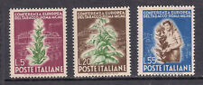 Italy 1950 tabacco usato  Firenze