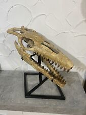 Mosasaurus schädelskelett ech gebraucht kaufen  Pforzheim