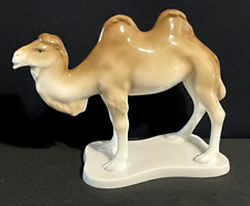 camel bone for sale  Gladstone