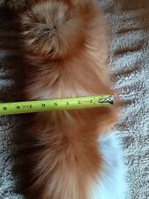 Large red fox for sale  Cotati