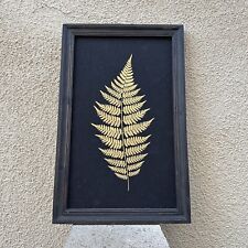 Framed botanical fern for sale  Brea