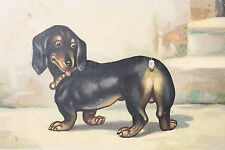 13161 bassotto cane usato  Spedire a Italy