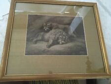 Antique framed etching for sale  BRENTWOOD