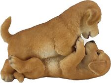 25cm labrador puppy for sale  GRANTHAM
