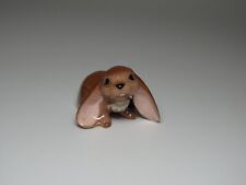 miniature lop eared rabbits for sale  Delaware