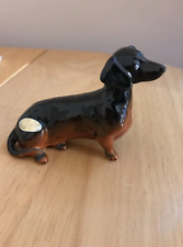 black dachshund for sale  LONDON