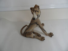 Lightning greyhound country for sale  WAKEFIELD