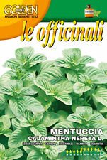 Semi seeds mentuccia usato  Morra De Sanctis