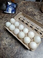 fresh farm duck eggs for sale  Morganton