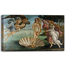 Botticelli nascita venere usato  Vercelli