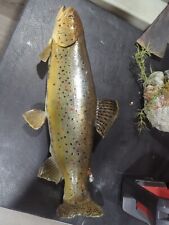 Brown trout taxidermy for sale  Rockford