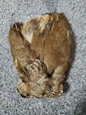 Qp76 quail pelt for sale  Hinton