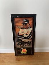 Dale earnhardt sun for sale  Winfield