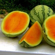 Sweet orange watermelon for sale  Houma