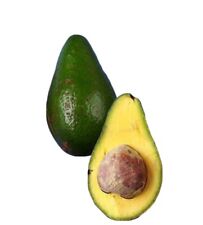 Caribbean avocados organic for sale  Sanford